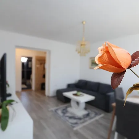 Golden Royal Apartment
